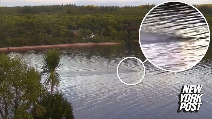 New footage from Scotland suggests there are two Loch Ness monsters: 'Not a  coincidence' - YouTube