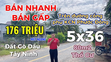 Bán Đất Tây Ninh | Chủ ngộp nín thở cần bán 1 lô đất 5x36 Thổ cư 80m2 siêu rẻ ở tại huyện Gò Dầu