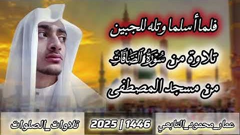 تلاوة من سورة الصافات من مسجد المصطفى|عمار محمود التابعي 