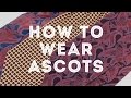 How To Wear An Ascot, Cravat & Plastron The Elegant Way - Gentleman's Gazette