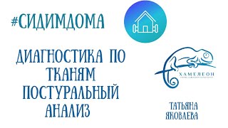 Диагностика по тканям. Постуральный анализ. Татьяна Яковлева