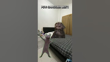 Thumbnail of Lagu spesial buat bestod🗿#bestie #meme #cat #memengakakkocak #lawak #memes #kucing #lawak #kocak