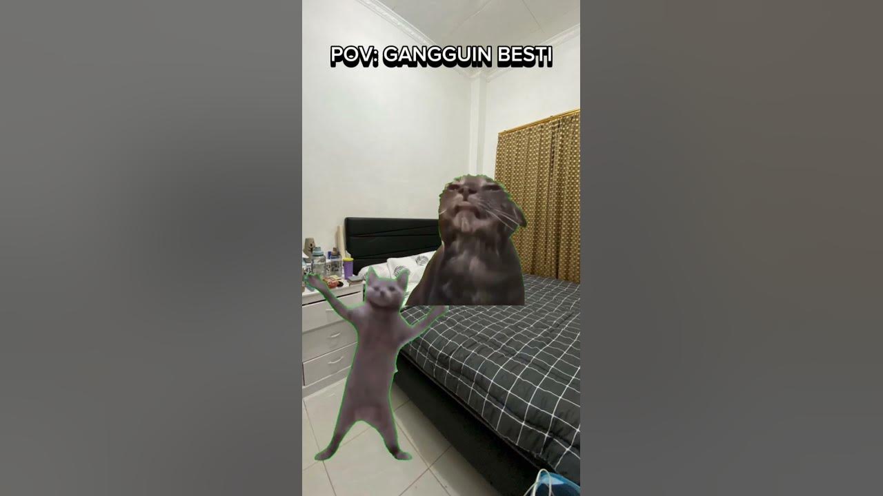 Lagu spesial buat bestod🗿#bestie #meme #cat #memengakakkocak #lawak #memes #kucing #lawak #kocak