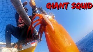 How to Catch Giant Squid - Fastest Giant Squid Fishing and Processing Skills