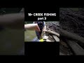 #fishing #fish #creek #creekfishing #spinningreel #stream #streamfishing #funny #fyp #viralvideo