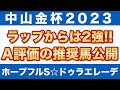 【中山金杯 2023】A評価の推奨馬を公開！ラップからは2強の構図！