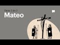 Lee la Biblia: Mateo cap. 14-28