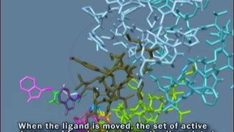 Interactive molecular dynamics in SAMSON: Docking example