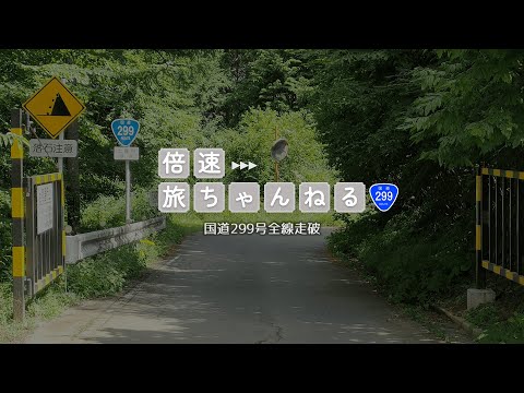【全線走破】国道299号 長野県茅野市→埼玉県入間市【ドライブ】