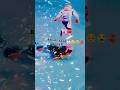 😭 bahut bura hua 🥹👀 #Khushal 06 #Rai star#free fire gaming video#tagada momin ke sath khatarnak