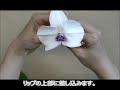 【大地農園】プリザーブド胡蝶蘭のテクニック～ワイヤリング方法、補強方法～