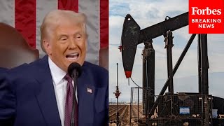 'Drill, Baby, Drill': Trump Flexes 'Gigantic' Alaska Pipeline Project During Address To Congress
