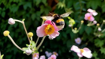 Poco X3 Pro slow motion sample (240fps)