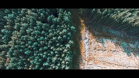 Michael Timmons - Two Suns (Official Video)
