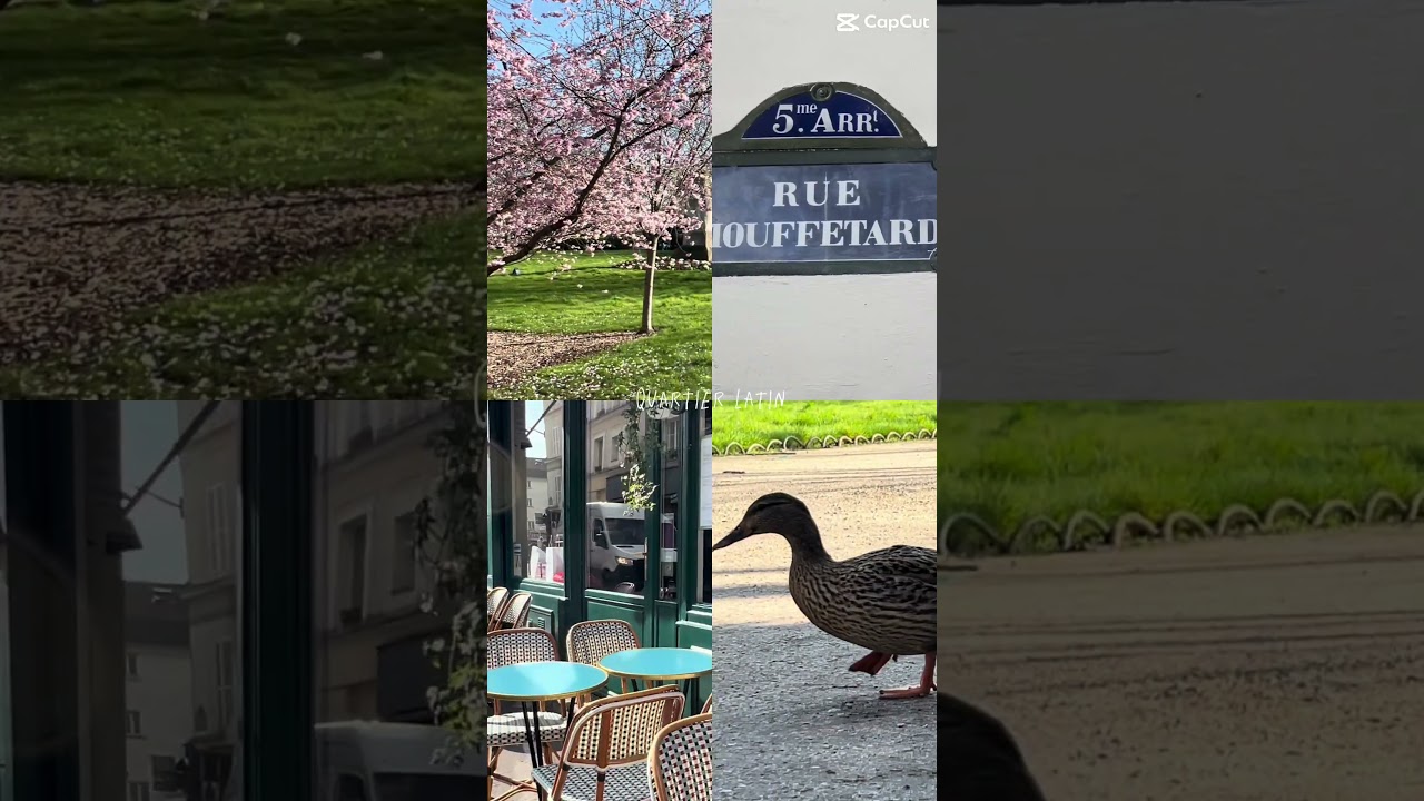 🇫🇷 🌟 Paris Walks: Quartier Latin & Rue Mouffetard 🌟