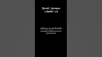 سورة مريم💛 #اكسبلور #الله #duet #دويتو #تيك_توك #fyp #foryou #funny #allah #quran  #قرآن #لايك