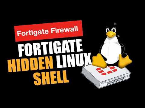 The Hidden Linux Shell