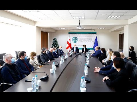 ეკატერინე ტიკარაძემ თანამშრომლებს ახალი მინისტრი წარუდგინა