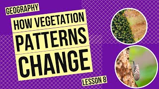 How Natural Processes and Human Activities Shape Vegetation Patterns