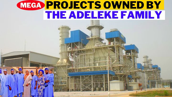 World Class Mega Projects Owned By The Adeleke Family
