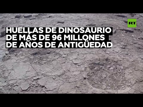 Vídeo: En Arkansas, Se Encontraron Huellas De Dinosaurios De Excelente Conservación - Vista Alternativa