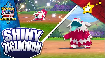 Can Galarian Zigzagoon be shiny?