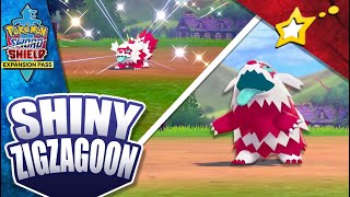 [LIVE!] SHINY GALARIAN ZIGZAGOON after 554 Encounters + I ALMOST DIED! STORY TIME | YES CLICKBAIT 😂