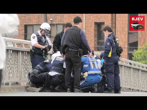 グッタリした男性が抱えられて警察車両へ!白バイ2台が見ているのにイエローカットしたレンタカーの末路!犯罪現場へ向かう白バイ隊員!