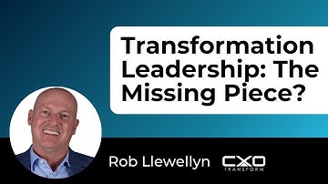 Why Every Business Needs a Chief Transformation Officer & Transformation Office