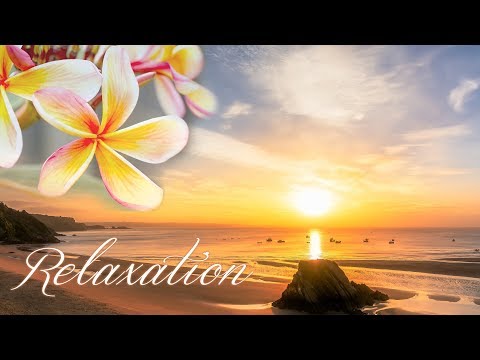アロマ リラクゼーション音楽 ～スパ、瞑想・ヨガ、睡眠～南国・トロピカル、波の音と鳥の声でα波... 疲れが取れる癒しのヒーリングBGM