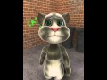 Talking Tom cat meong