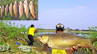 Fish Catching Singal Hook Fishing Techniques | Rohu Fishing Video | Ahtesham khan Fishing