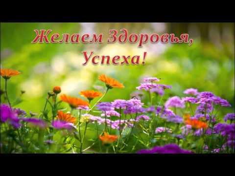 Как сделать тюльпан с конфетами 83 Как сделать тюльпан с конфетами 52