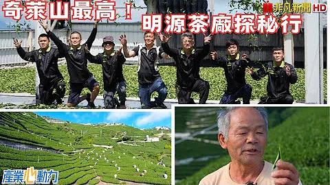【奇莱山秘境品茶】奇莱山海拔最高明源茶厂-台湾冠军高山茶｜产业心动力#陈明朗#明源茶厂#主播黄瀞仪 - 天天要闻