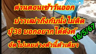 ด่วนตอนเช้าวันออก บ่าวเฒ่าถึงกับนั่งไม่ติดปู่ 38 บอกอยากได้ตังค์จัดไปเลยล่างตัวนี้ตัวเดียว 16/5/67