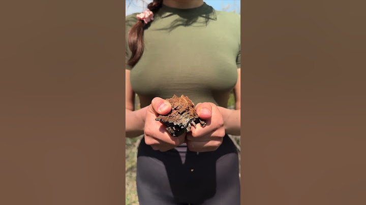 Women's survival Skills🔥🥫 #camping #survival #bushcraft #outdoors #lifehack