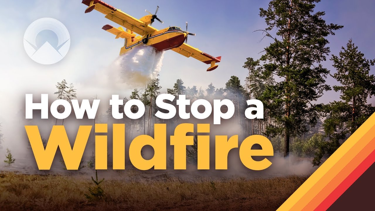 How Do Firefighters Control Wildfires?