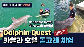 DolphinQuest  돌고래체험  dolphins Kahala  하와이여행법 하와이가족여행  하와이신혼여행 하와이경비 하와이여행코스 하와이즐기기