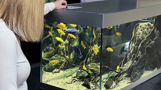 THE ULTIMATE ROOM DIVIDER FISH TANK!!