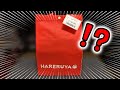 【福袋開封】高額福袋はこれだからやめられない【ポケカ開封/ハレツー/晴れる屋2】