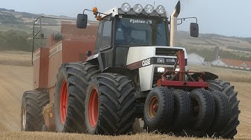 Best of Case 2294 working in the field | PURE BEAST | Baling, Corn Chopping, Grass Season | DK Agri