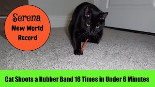 Cat Shoots a Rubber Band 16 Times in Under 6 Minutes by Serena the kAt 248 views 1 month ago 6 minutes, 20 seconds