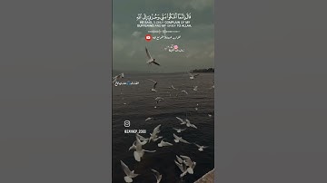 القرآن/الكريم /القارئ مشاري فالح