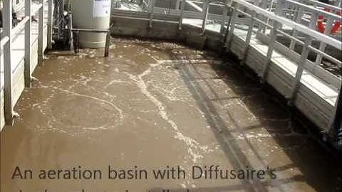 Diffusaire: Beta Site tour