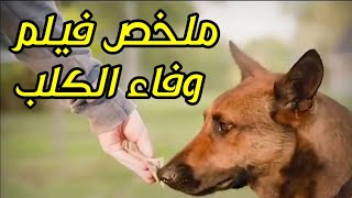 ملخص افلام | كلب وفى لصاحبه يفعل المستحيل للأخذ بثأر صاحبه | اسم الفيلم max