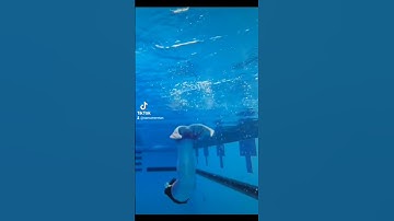 Mertailor Pixie Lagoon Fantasea Mermaid Tail