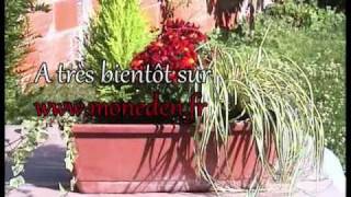 Faire une jardinière fleurie d'automne