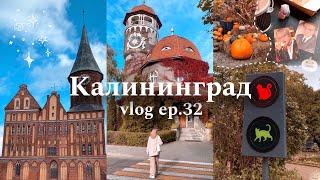 🐈 vlog ep. 32 : Калининград, Зеленоградск, Светлогорск 🎃🍁 autumn halloween vibes