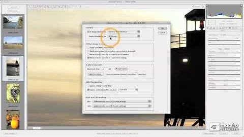 Photoshop CS5 104: Mastering Adobe Camera Raw 6 - 5 Understanding the Preferences