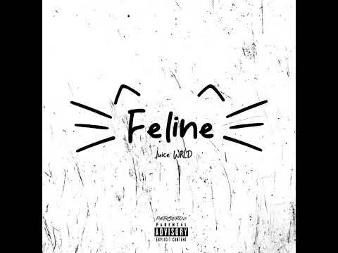 Juice WRLD Feline OG NEW FT LIL YATCHY TRIPPIE REDD POLO G